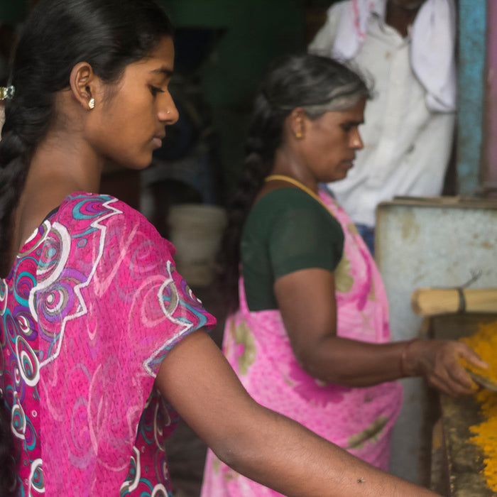 Renukas Curry (80g) - Bio - indische Gewürzmischung