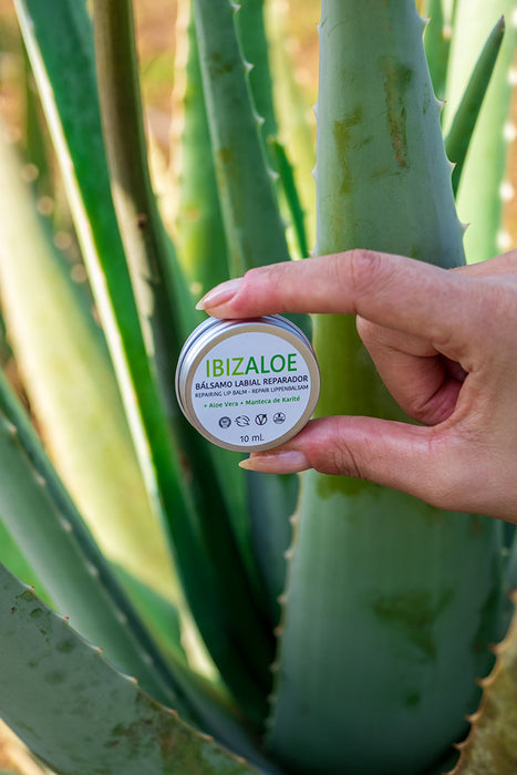 Aloe Vera Repair Lippenbalsam (10ml)